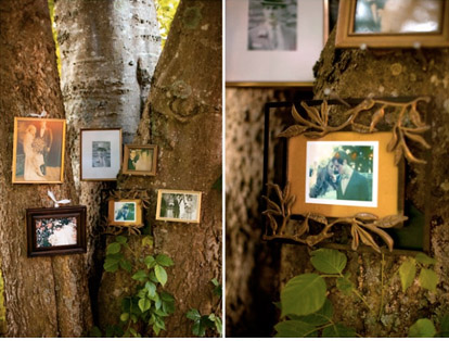 This outdoor wedding showed a real family tree Family pics framed in